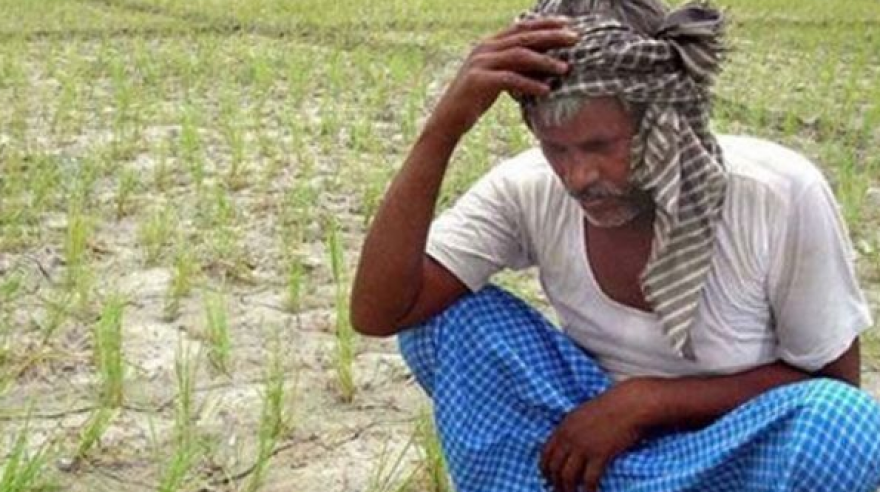 Two Years of Chandrababu Naidu Government: Agricultural Crisis Deepens in Andhra Pradesh
