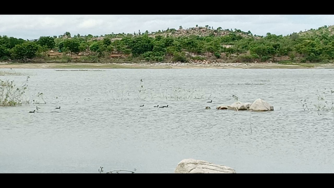 Janwada Kodi Cheruvu Land Controversy: Allegations Surrounding Lands Linked to Pawan Kalyan Spark Debate