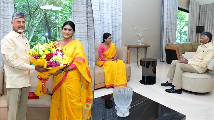 Is Jagan’s Niece’s Wedding Controversy Chandrababu’s Biggest Concern? Questions Raised Over Public Issues