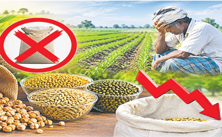 AP Rabi Season Subsidy Seeds 2026: Farmers Seek Clarity on Seed Distribution